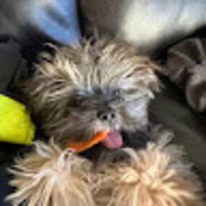 Meet your Posher, Carranza